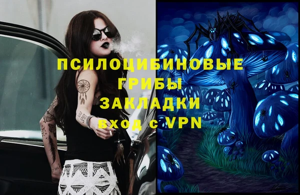 соль курить ск Переславль-Залесский