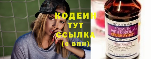 амф Пестово