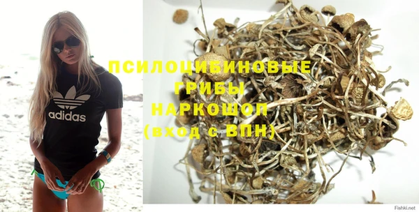 шишки Абдулино