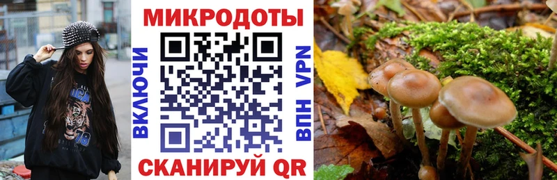 Галлюциногенные грибы прущие грибы  Ялуторовск 